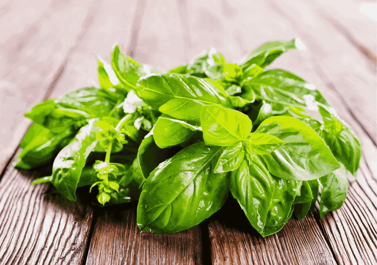 Fresh cut herbs packing